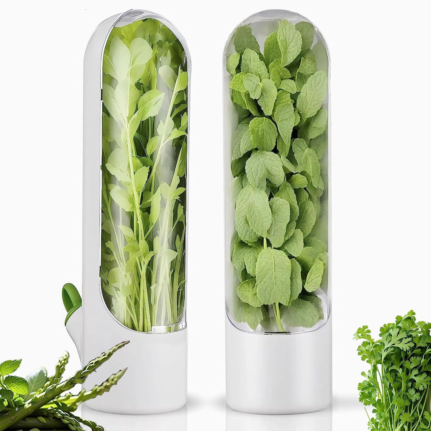 Herb Keeper for Refrigerator, Herb Saver for Refrigerator, Cilantro Container, Vegetable Preservation Bottle V1192-AZ-W-0388