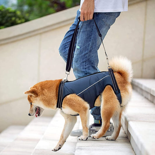 Back Legs with Handles,Adjustable Dog Lift Sling Carrier for Senior, Disabled, Joint Injuries, Arthritis, V1192-AZ-W-0399