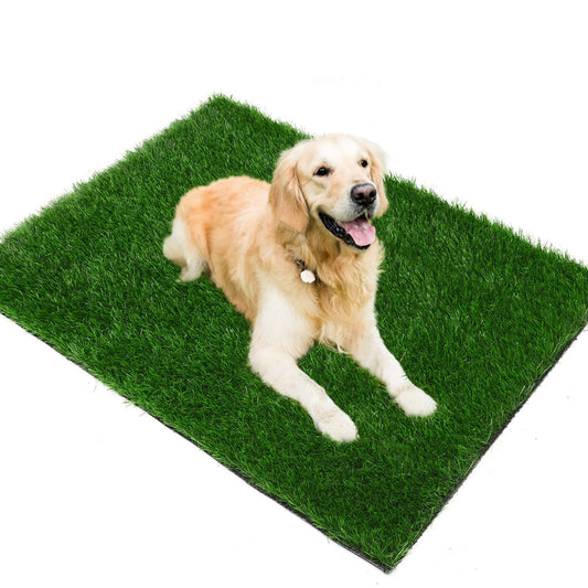 Grass Pad for Dogs 35cmx35cm, Strong Absorbency Soft and Real Grass for Pets Potty Training, Easy to Clean V1192-AZ-W-0423