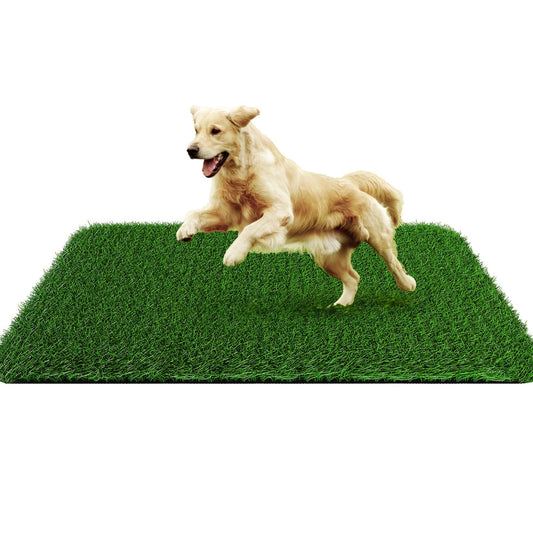 Grass Pad for Dogs 35cmx35cm, Strong Absorbency Soft and Real Grass for Pets Potty Training, Easy to Clean V1192-AZ-W-0423