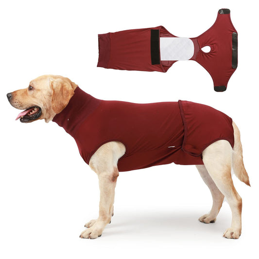 Full Body Dog Diaper with a Puppy Nappies Physiological Dog Surgery Recovery Suit for Male Female Dogs(L) V1192-AZ-W-0714