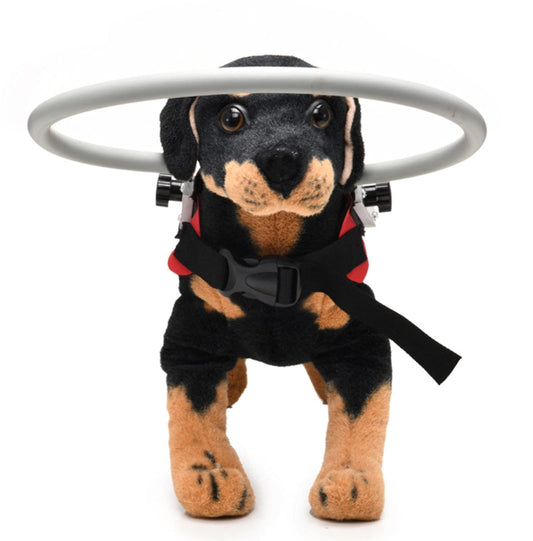 Ring Harness for Blind Dog, Lightweight Blind Ring for Pets, Blind Dog Bumper, Bump Guard for Blind Dogs Red V1192-AZ-W-0734