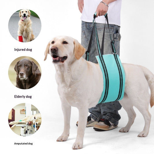 Portable Hip Support Harness Assist Lift Dogs Rear for Canine Aid - Pet Lift Harness for Small, Medium & V1192-AZ-W-0744
