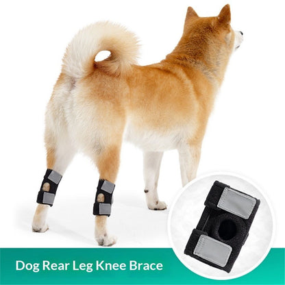 Dog Canine Braces for Rear Legs Supportive with Spring Inserts to Stabilize Dog Hind Legs, Help Dogs with V1192-AZ-W-0804