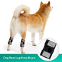 Dog Canine Braces for Rear Legs Supportive with Spring Inserts to Stabilize Dog Hind Legs, Help Dogs with V1192-AZ-W-0804
