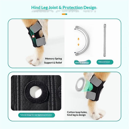 Dog Canine Braces for Rear Legs Supportive with Spring Inserts to Stabilize Dog Hind Legs, Help Dogs with V1192-AZ-W-0804