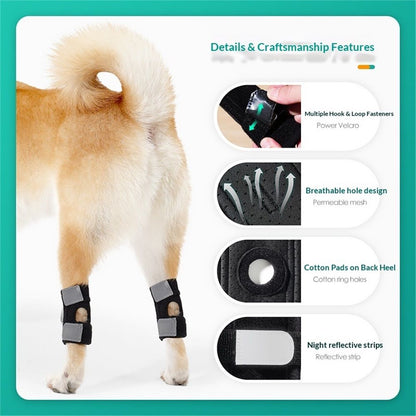 Dog Canine Braces for Rear Legs Supportive with Spring Inserts to Stabilize Dog Hind Legs, Help Dogs with V1192-AZ-W-0804