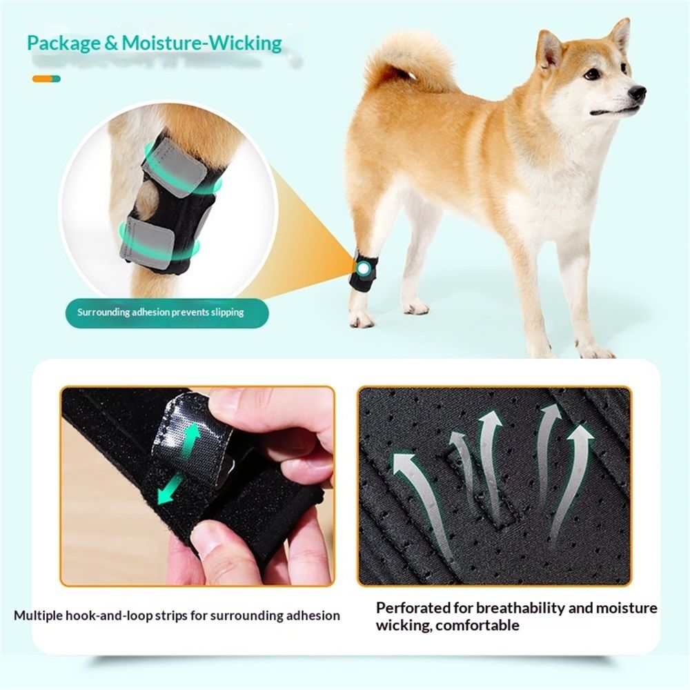 Dog Canine Braces for Rear Legs Supportive with Spring Inserts to Stabilize Dog Hind Legs, Help Dogs with V1192-AZ-W-0804