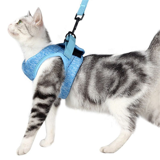 Cat Harness and Set, Cute Escape Proof Vest Harness for Girl&Boy Cat Walking, for Outdoor Kitten (blue, L) V1192-AZ-W-0805
