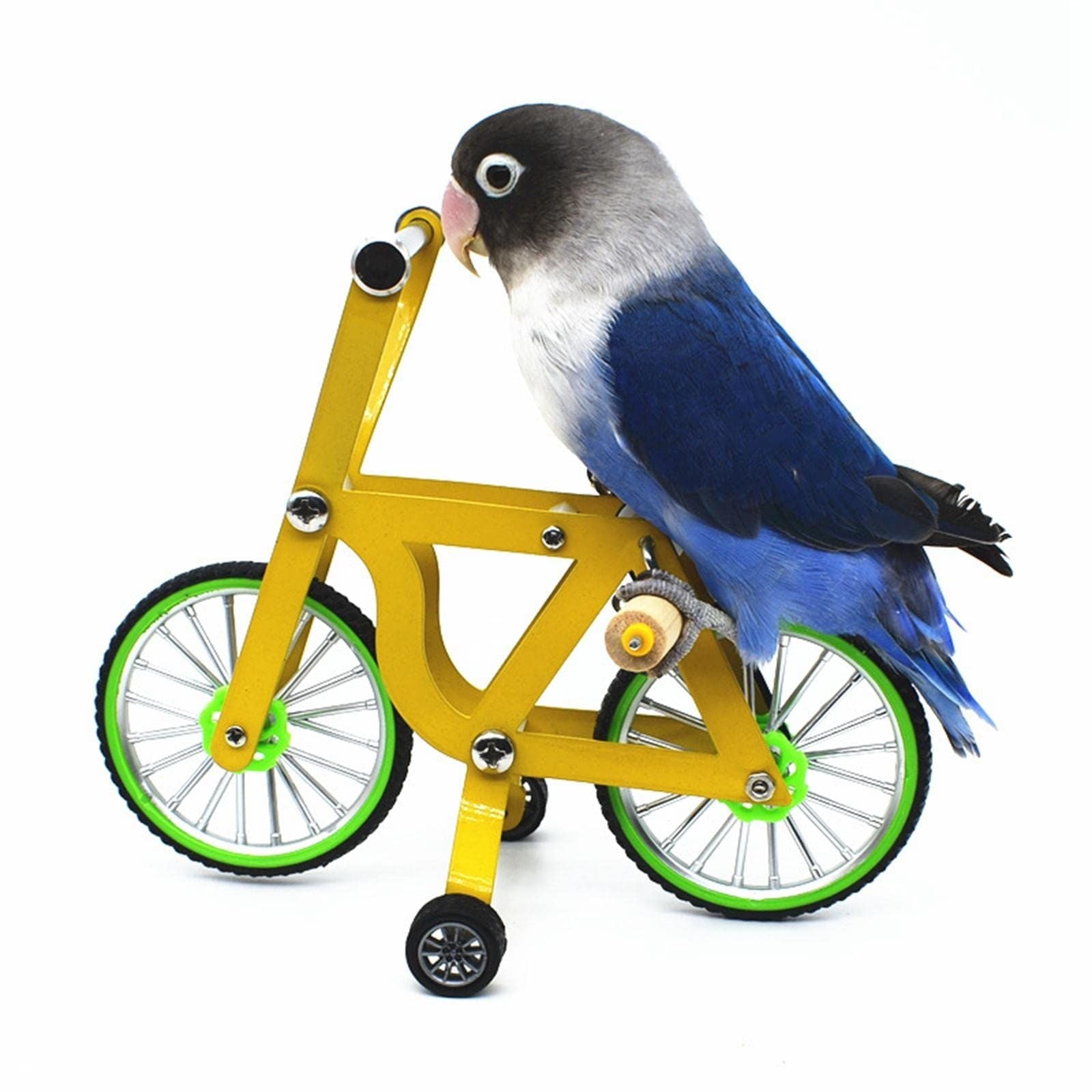 Bird Intelligence Training Toy for Small Medium Birds - Parrot Puzzle Bicycle & Table Top Trick Prop - Foot V1192-AZ-W-0823