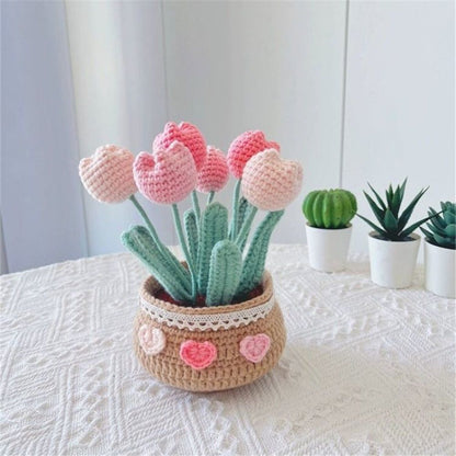 Crochet Kit for Beginners, Tulip Crochet Starter Kit Beginner for Complete Beginners Adults, Crocheting V1192-AZ-W-0877