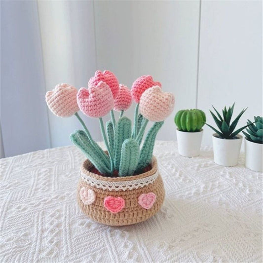 Crochet Kit for Beginners, Tulip Crochet Starter Kit Beginner for Complete Beginners Adults, Crocheting V1192-AZ-W-0877