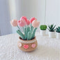 Crochet Kit for Beginners, Tulip Crochet Starter Kit Beginner for Complete Beginners Adults, Crocheting V1192-AZ-W-0877