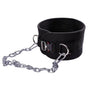Pull-up Belt Weighted Dip Belt with Chain Double D-ring Weightlifting Back Support Strap Home Gym Equipment V1192-AZ-W-0903