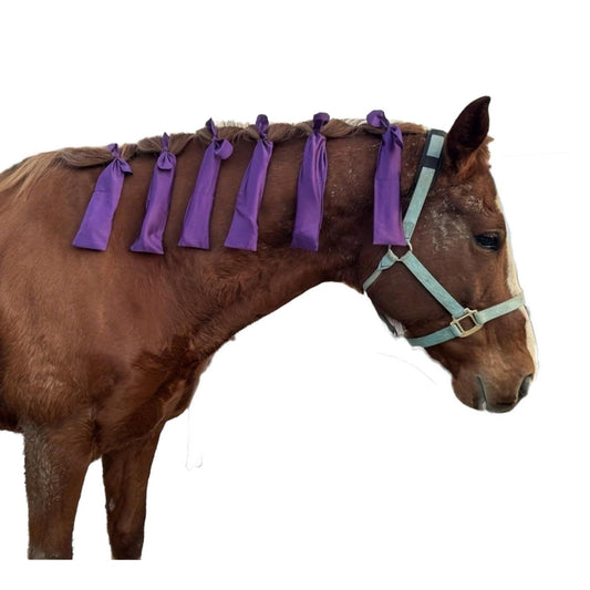 Protect Horse's Mane from Wind, Sun & Mud - Prevents Tangles, Rubbing Out and Breakage - Made with Nylon - V1192-AZ-W-2826