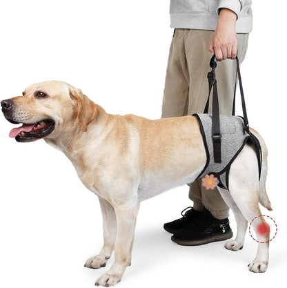 Dog Lift Harness - Adjustable Support for Medium Large Dogs, Comfortable Design with Padded Back Legs for V1192-AZ-W-3005