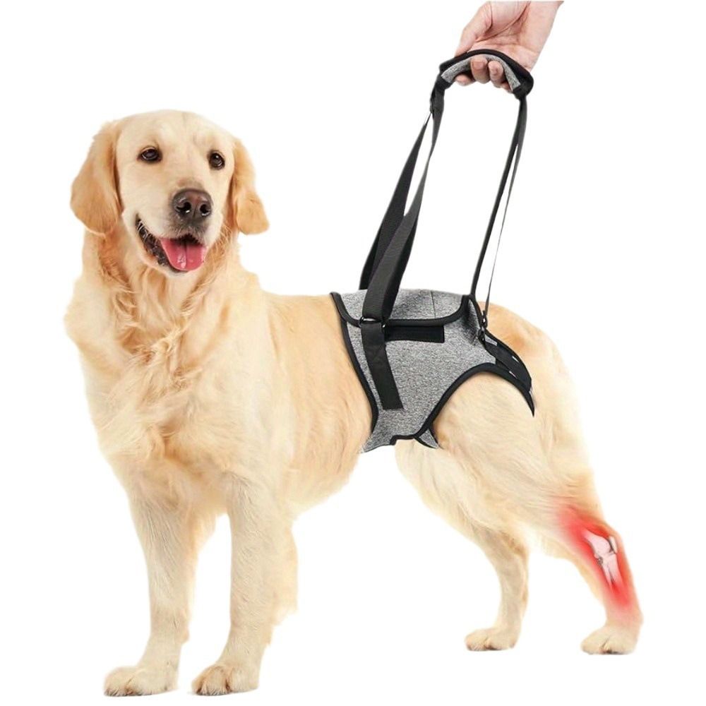 Dog Lift Harness - Adjustable Support for Medium Large Dogs, Comfortable Design with Padded Back Legs for V1192-AZ-W-3005