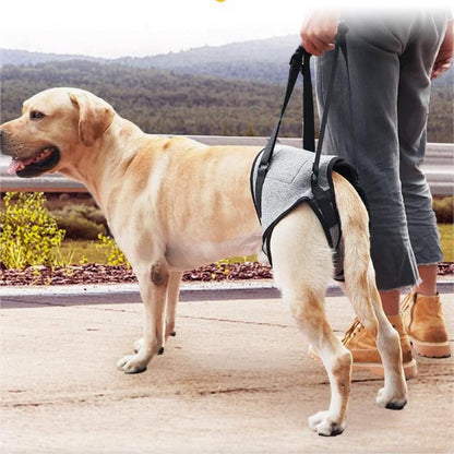 Dog Lift Harness - Adjustable Support for Medium Large Dogs, Comfortable Design with Padded Back Legs for V1192-AZ-W-3005