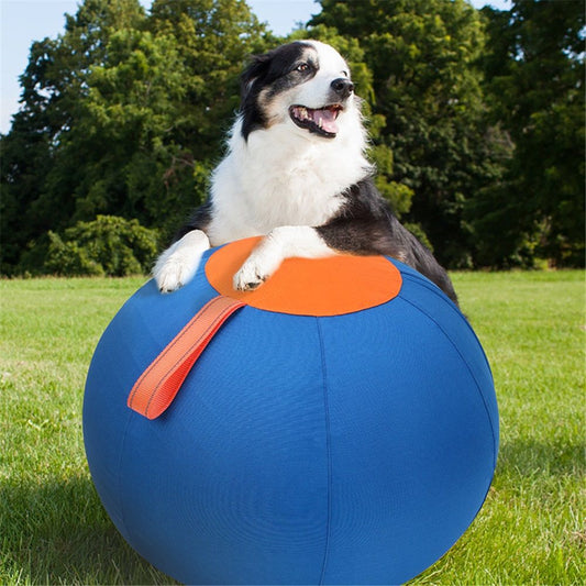 Herding Ball for Dogs, 18" Large Ball Interactive Dog Toys for Medium & Large Dogs, Complete Set Dog Ball V1192-AZ-W-3228