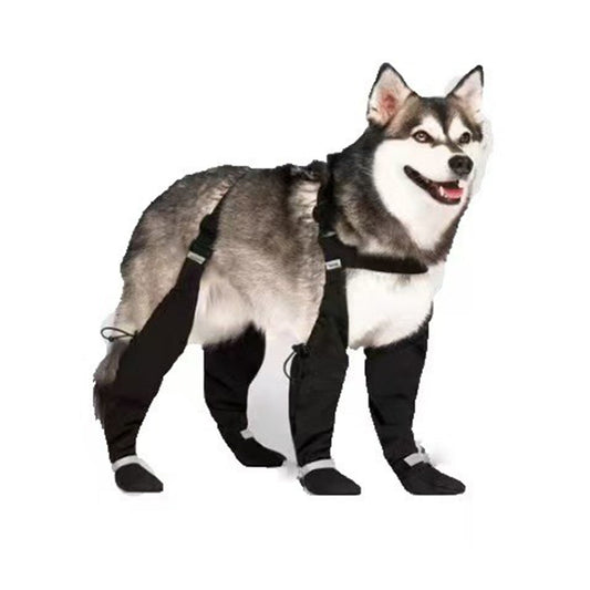 Dog Suspender Booties, Paw Boot Leggings Anti-Slip, Pet Snow Pants with Attached Boots Waterproof, Adjustable V1192-AZ-W-3379