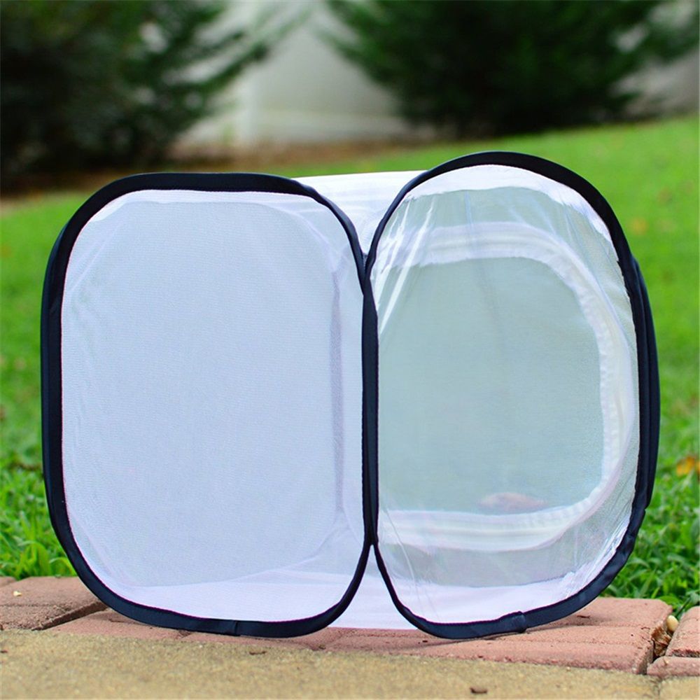 Butterfly Habitat,Outdoor Foldable Butterfly Cage Habitat Fine Mesh Stops - Mesh Panels for Air - Clear V1192-AZ-W-3384