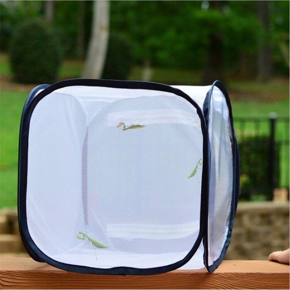 Butterfly Habitat,Outdoor Foldable Butterfly Cage Habitat Fine Mesh Stops - Mesh Panels for Air - Clear V1192-AZ-W-3384