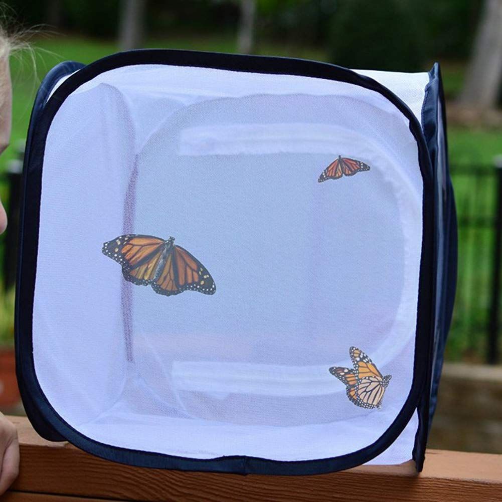 Butterfly Habitat,Outdoor Foldable Butterfly Cage Habitat Fine Mesh Stops - Mesh Panels for Air - Clear V1192-AZ-W-3384