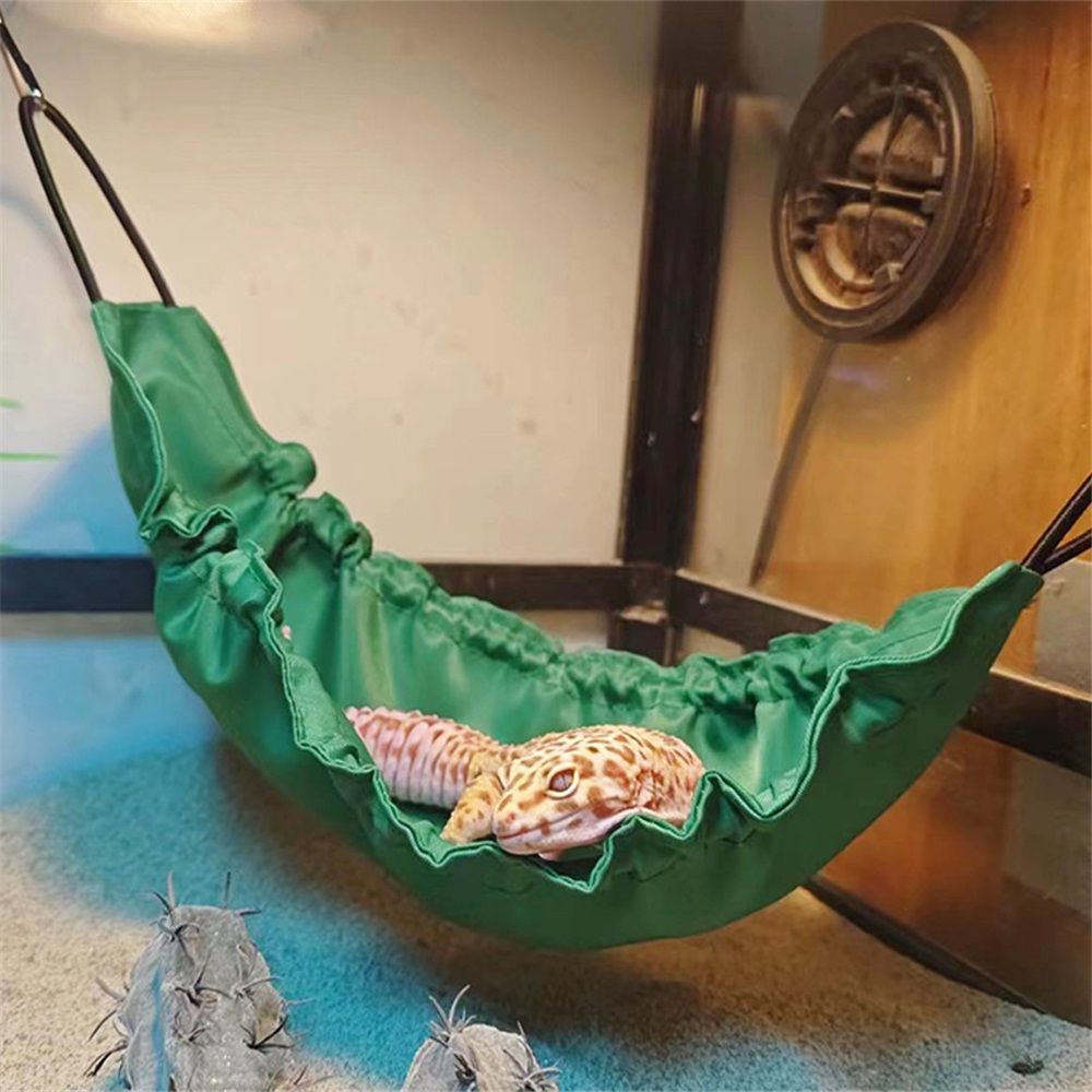 2 pack Reptology Lizard Hammock with Suction Cups Bearded Dragon Tank Accessories Reptile Lounger for V1192-AZ-W-3386
