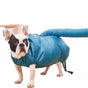 Pet Dog Dryer, Protable Fast Easy Blower Professional Tool Hair Pet Low Noise Puff and Fluff Bath Grooming - L V1192-AZ-W-3391