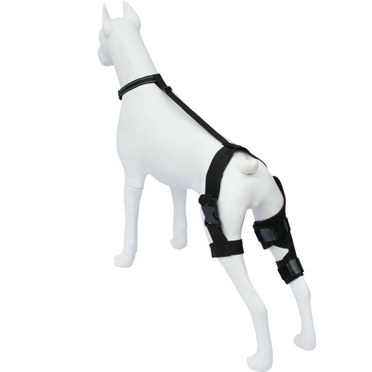 Dog Knee Brace Dog Brace Hind Leg Dog Knee Brace with Extra Collar and Support Treats Kneecap Dislocation V1192-AZ-W-3474