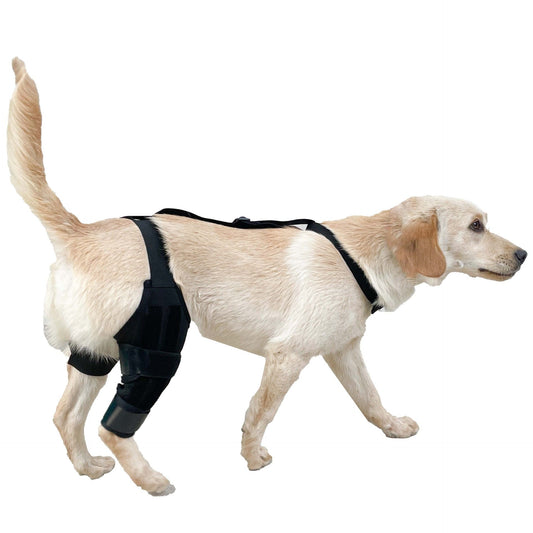 Dog Knee Brace Dog Brace Hind Leg Dog Knee Brace with Extra Collar and Support Treats Kneecap Dislocation V1192-AZ-W-3474