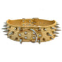 Spiked Leather Dog Collar Bullet Rivets Studded 2 Inch Width Stylish Leather Dog Collars for Medium & Large V1192-AZ-W-3514