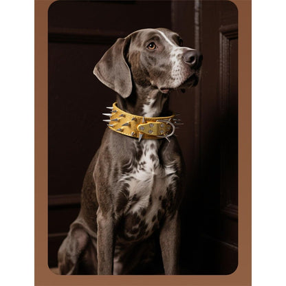Spiked Leather Dog Collar Bullet Rivets Studded 2 Inch Width Stylish Leather Dog Collars for Medium & Large V1192-AZ-W-3514