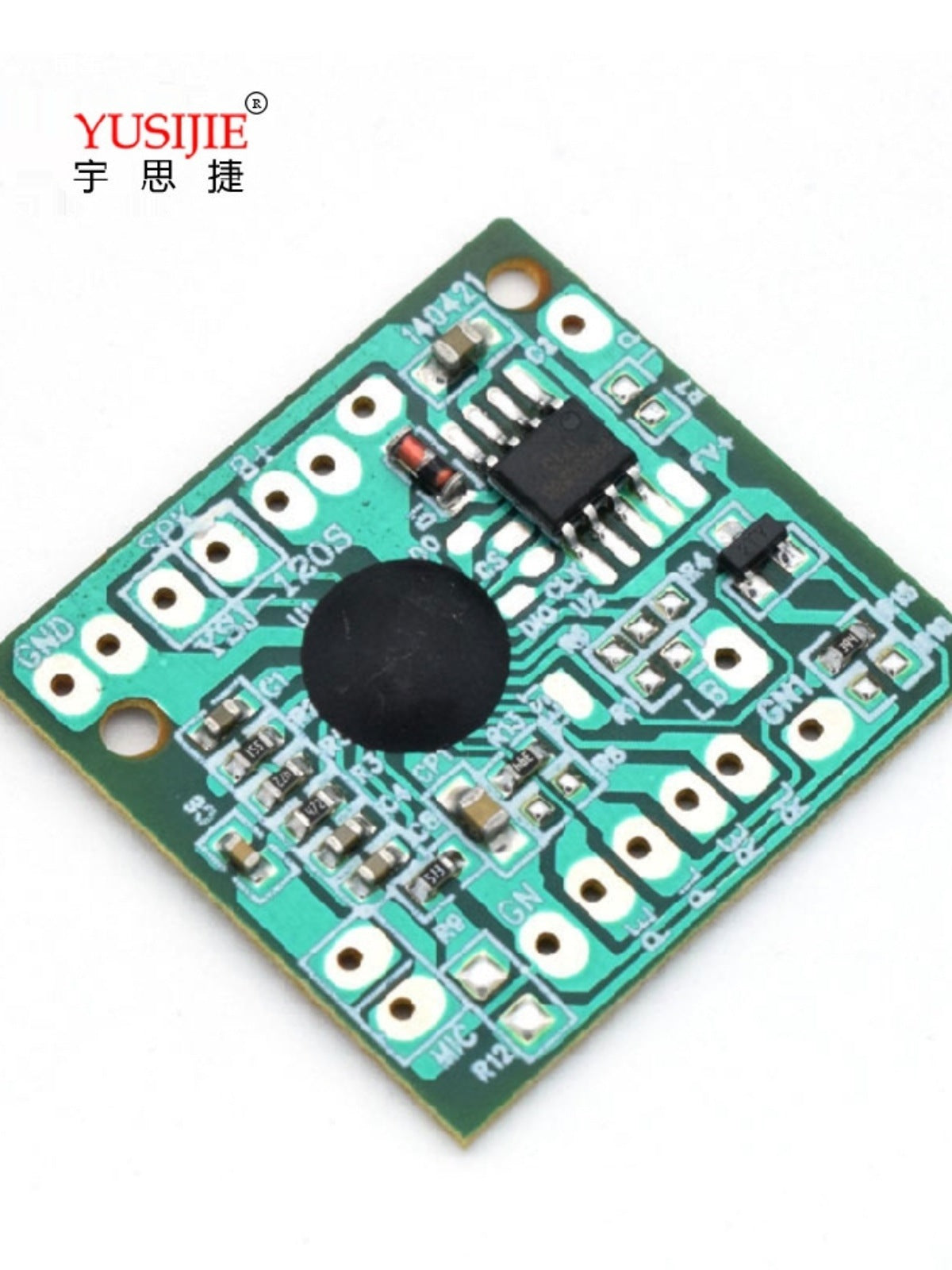 Voice Recording Module - 10-Pack (30-Second Recording Capacity) V1192-D61