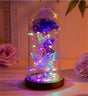Purple & Silver Butterfly Lantern - Festive Decorative LED Light V1192-ZH-PURPLE