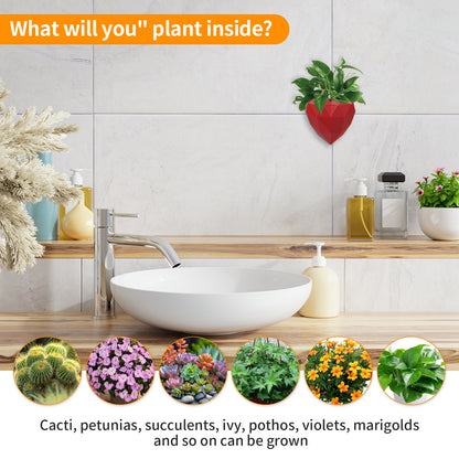 Wall Mounted Planter - NO DRILLING,Houseplant Wall Display Ideas,3D Printed Wall Planter with Drainage Tray V1195-V3DOY000470RED