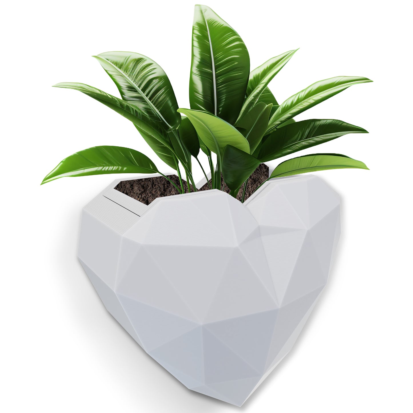 Wall Mounted Planter - NO DRILLING,Houseplant Wall Display Ideas,3D Printed Wall Planter with Drainage Tray V1195-V3DOY000470WHITE