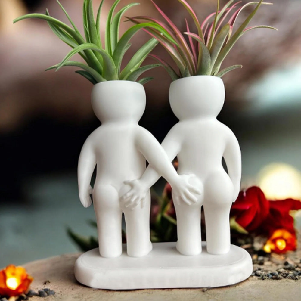 Funny Couple Air Plant Holder - Cheeky Anniversary Gift V1195-V3DOY000475
