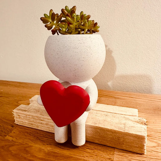 Home Decor Succulent Air Planter Stand,Air Plant holder, Air Plant Lover Gift Desk Decor V1195-V3DOY000476W