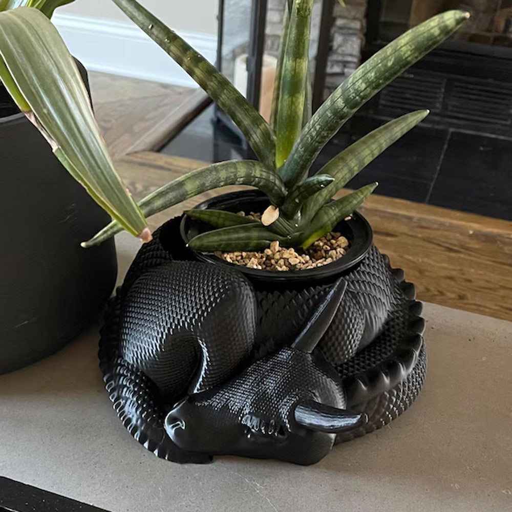 Dragon Planter, 3D Printed, Fantasy Decor, Dragon Pot, Dragon Bowl, Dragon Dish V1195-VW66891COPPERRED