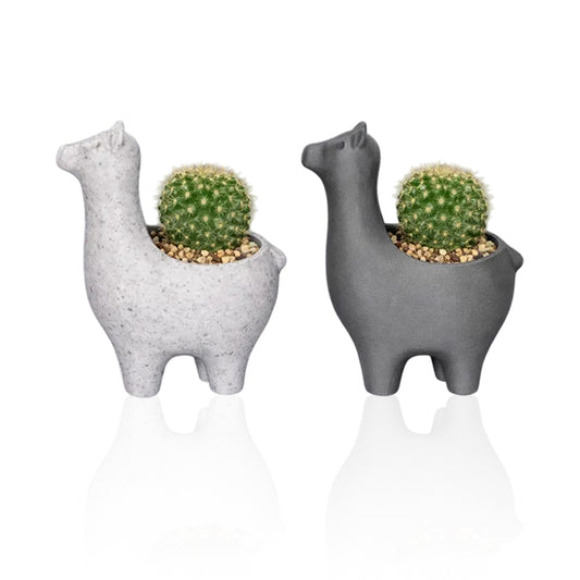 Interesting marble-colored alpaca planter, suitable for planting succulents, cacti, and small indoor plants; V1195-VYY0002