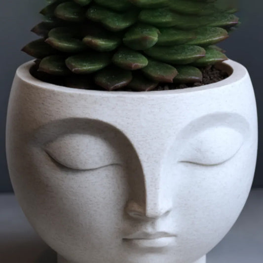A 3D-printed, serene flowerpot, an eye-catching decorative piece for modern interior spaces. Suitable for V1195-VYY0007
