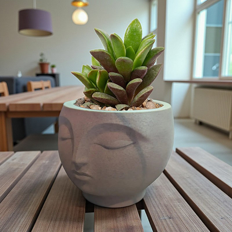 A 3D-printed, serene flowerpot, an eye-catching decorative piece for modern interior spaces. Suitable for V1195-VYY0007