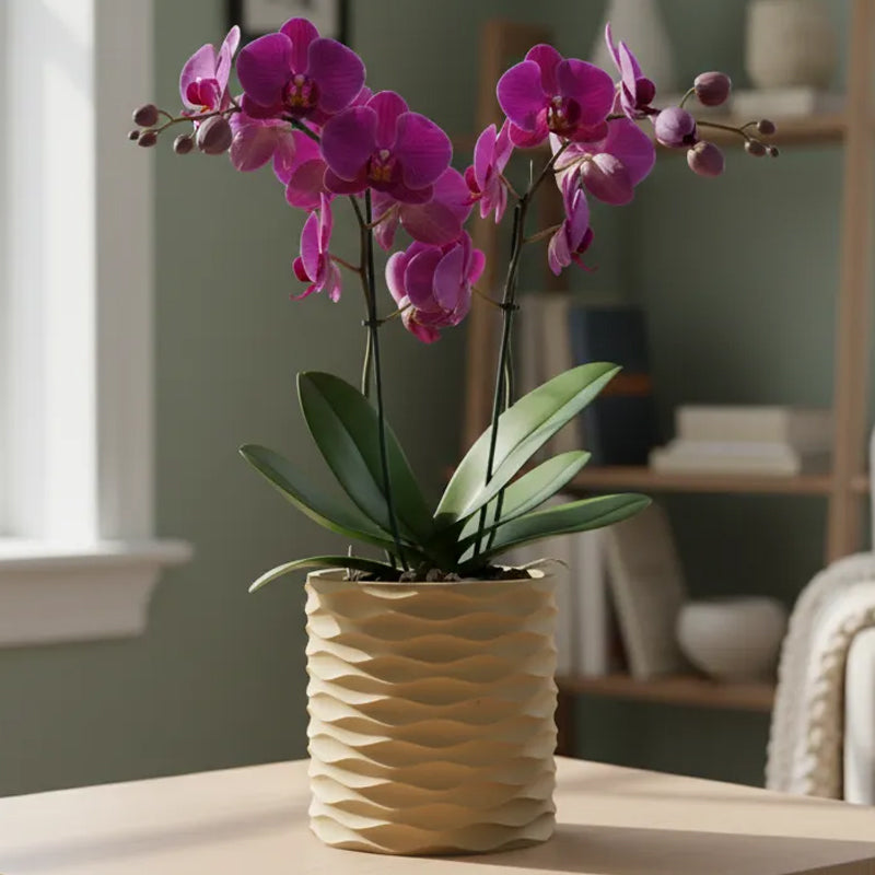 3D Printed Modern Wave Flower Pot - Water-Storing Rotating Base, Flesh Color, Single Piece V1195-VYY0010