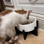 Elevator Pet Bowl, Neck Support Food Bowl, Easy to Clean (Elevator Cat Bowl), Black and White V1195-VYY0021
