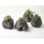 3D printed animal flower pots suitable for home and garden. Gray owl single piece. V1195-VYY0028