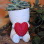 Valentine's Day Mini Flower Pot - Heart-Shaped Succulent (White and Red) V1195-VYY0047