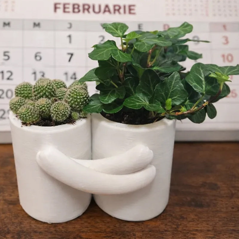 3D Printed Hug Flower Pot - Small Item, Big Heart (White) V1195-VYY0056
