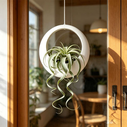 3D-printed circular hanging plant pot, white V1195-VYY0092