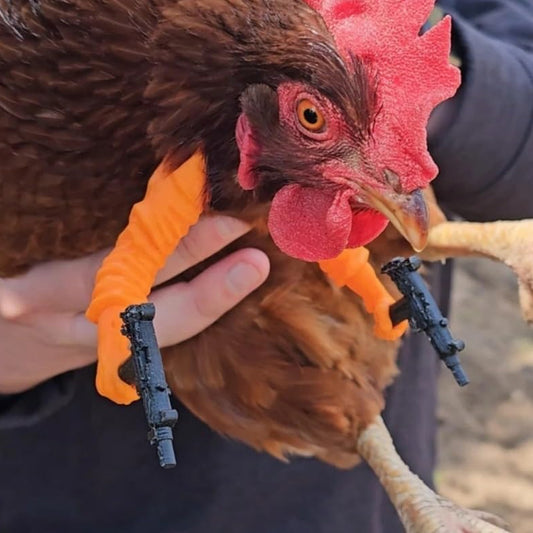 Chicken arms with Guns,Fun, Durable, Rooster Pistol Party, Perfect for Parties, Photoshoots and Pranks V1195-W000903B